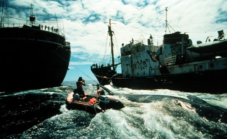 Как изменить мир (Великобритания) 2015 полностью смотреть бесплатно без рекламы