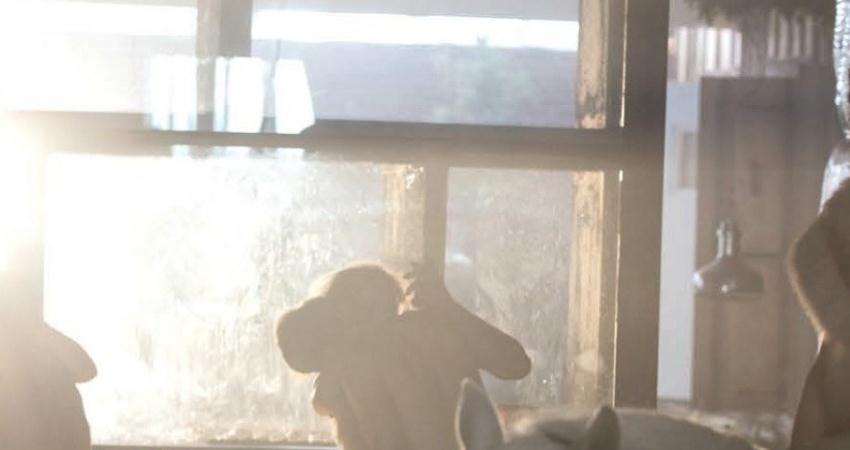 Высотка (Великобритания) смотреть онлайн без рекламы