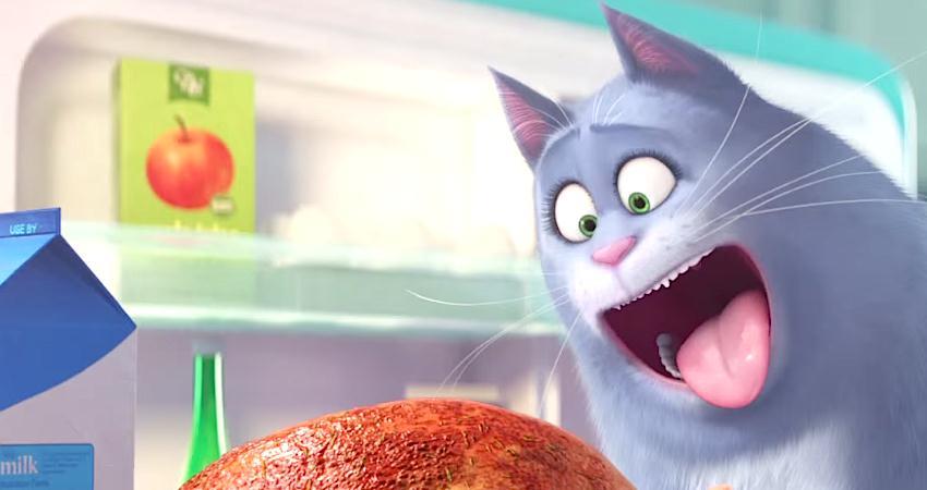 Тайная жизнь домашних животных (Япония) смотреть в хорошем качестве