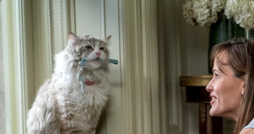 Смотреть фильм Девять жизней (Франция) HD 1080, 4K