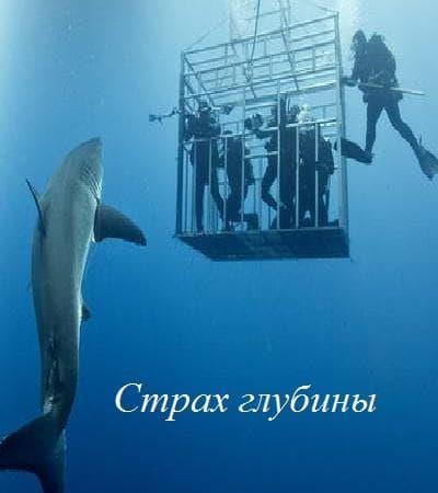 Страх глубины (Великобритания) 2016 смотреть онлайн на телефоне бесплатно