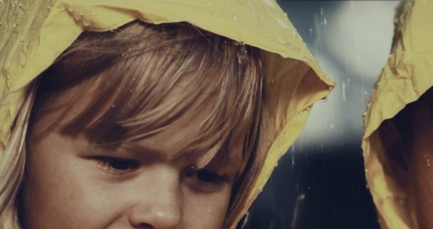 То что летает и плывет смотреть онлайн бесплатно без рекламы