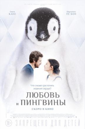 Фильм Любовь и пингвины (2016) смотреть в Full HD 1080 без регистрации и рекламы
