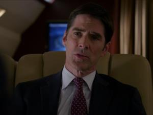 Мыслить как преступник (Criminal Minds) (8 сезон) описание