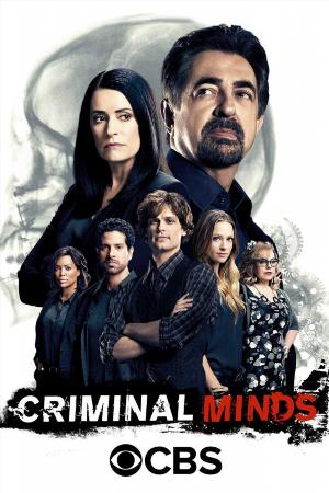 Бесплатный просмотр сериала Мыслить как преступник (Criminal Minds) 9 сезон в высоком HD качестве