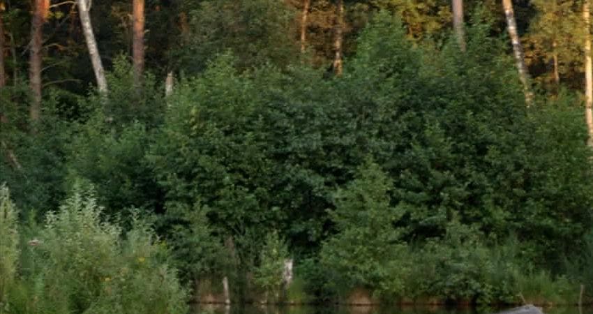 Источник (2016) смотреть онлайн бесплатно в хорошем качестве