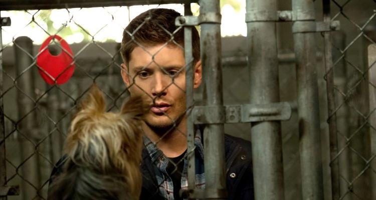 Смотреть сериал Сверхъестественное (2005) 9 сезон 5 серия без рекламы в HD