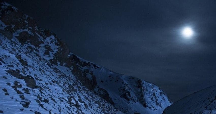 Влюбленные и медведь (2016) смотреть бесплатно онлайн без рекламы