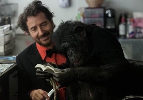 Ночь в Париже (Франция) 2016 смотреть онлайн на телефоне бесплатно