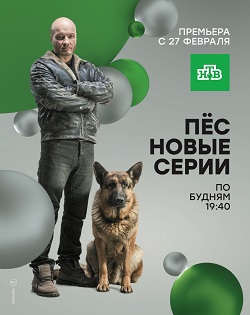 Пес (сериал) 1 сезон, 1-19,20,21 серия (2015, Украина) смотреть онлайн