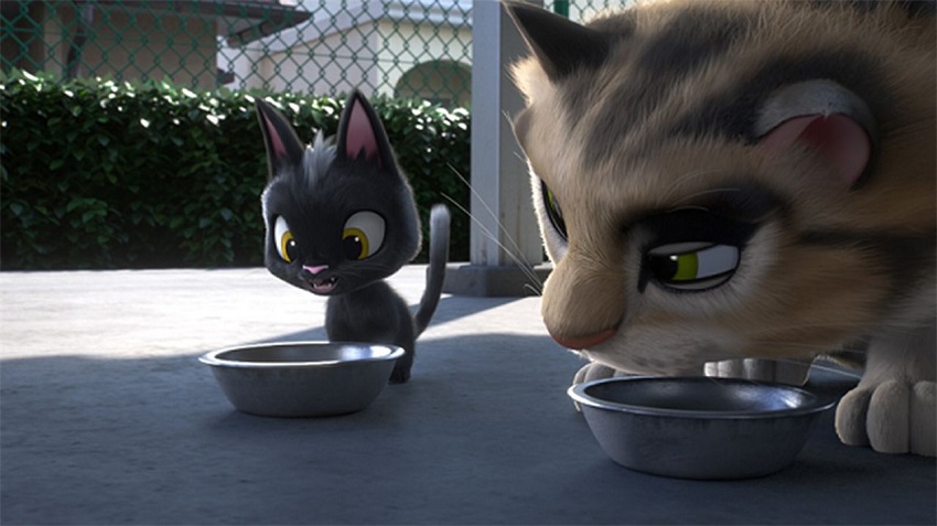 Смотреть Фильм Черный кот: Рудольф (Япония) бесплатно и без рекламы