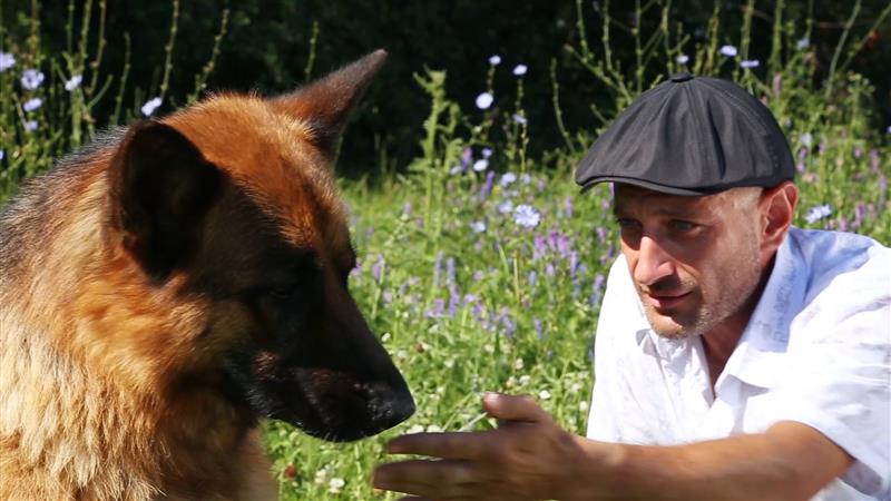 Костя смотреть бесплатно онлайн