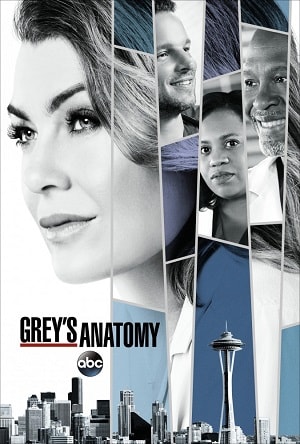 Анатомия страсти (Grey s Anatomy) 14 сезон (2005-2017) смотреть онлайн