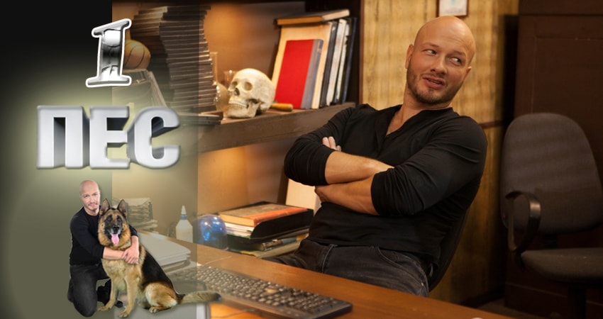 Пес (сериал) (2015) 2 сезон 24 серия смотреть онлайн без рекламы и регистрации