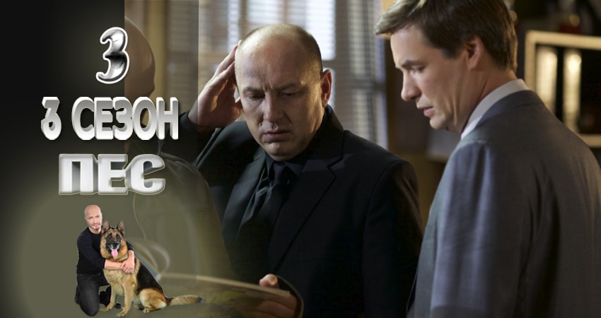 Пес (сериал) (4 сезон) сериал содержание