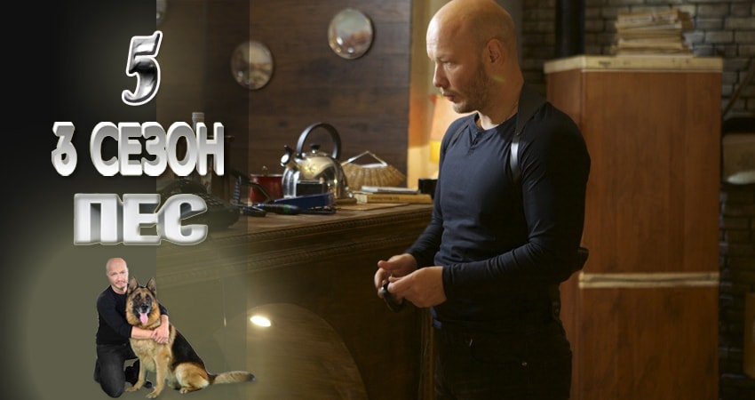 Сериал Пес (сериал) (2015-2017) 3 сезон 5 серия смотреть бесплатно в хорошем качестве