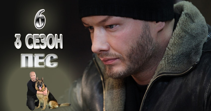 Пес (сериал) (2015-2017) 3 сезон 6 серия смотреть онлайн бесплатно