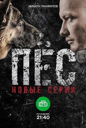 Пес (сериал) 3-й сезон (2015-2017) смотреть онлайн
