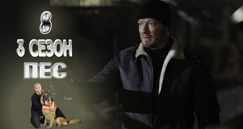 Пес (сериал) (3-й сезон) содержание серий