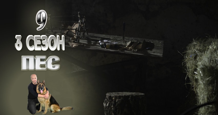 Пес (сериал) 3 сезон 9 серия смотреть полностью без перерыва