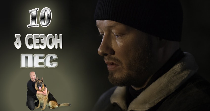 Пес (сериал) 3 сезон 10 серия смотреть в хорошем качестве