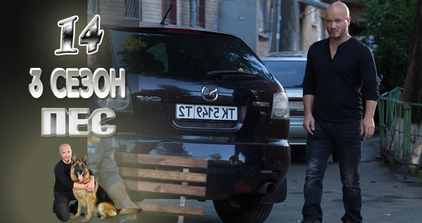 Сериал Пес (сериал) (2015-2017) 3 сезон 14 серия в хорошем качестве 1080 Full HD