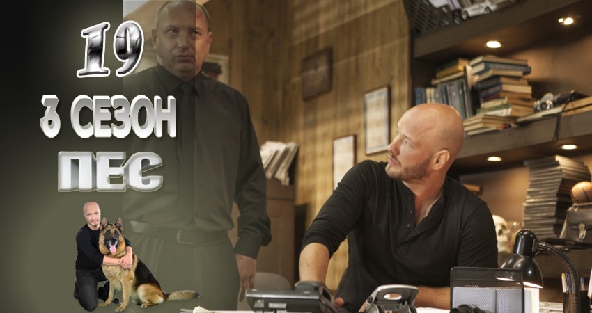 Пес (сериал) (3 сезон, 19 серия) смотреть онлайн бесплатно в хорошем HD качестве