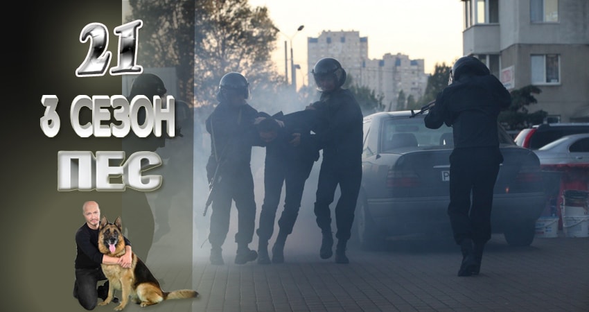 Смотреть сериал Пес (сериал) 3 сезон 21 серия в хорошем качестве HD