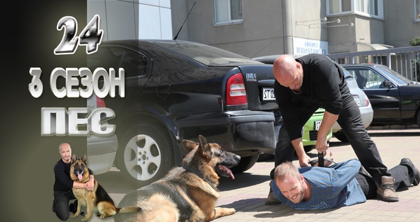 Пес (сериал) (2015-2017) 3 сезон 24 серия смотреть онлайн в хорошем качестве