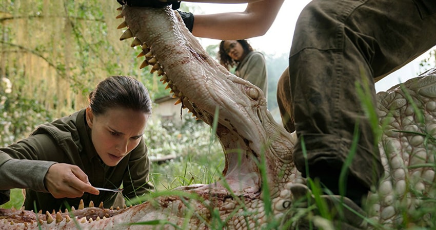 Аннигиляция (Великобритания) полная версия смотреть бесплатно