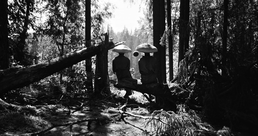 Cмотреть Фильм Мешок без дна (Россия) 2018 онлайн бесплатно