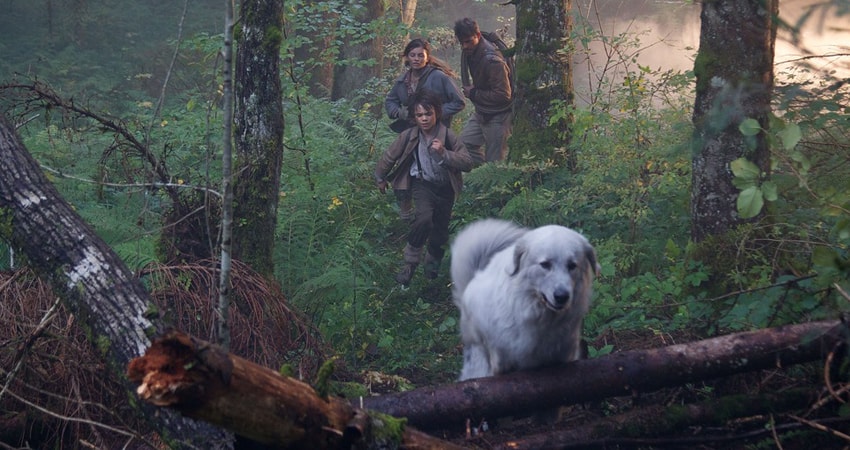 Белль и Себастьян (2018) смотреть онлайн бесплатно