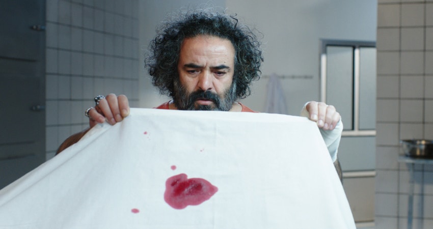 Свинья (Иран) смотреть онлайн в качестве 4K