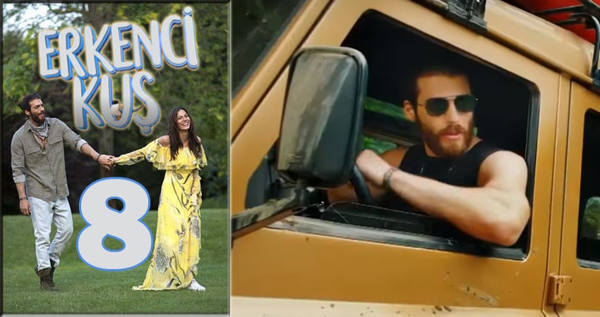 Ранняя пташка (Erkenci Kus) сериал сколько серий