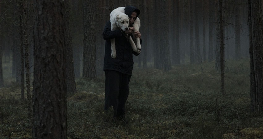 Фильм Сердце мира (0 сезон) онлайн | 2018