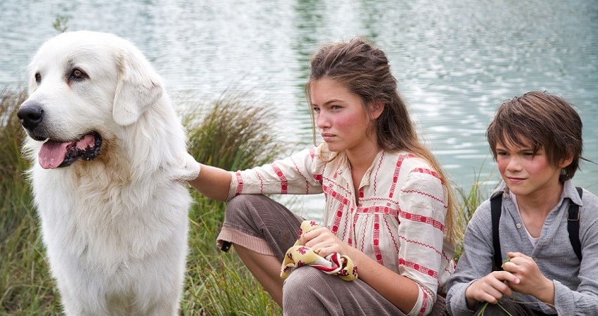 Белль и Себастьян: Приключения продолжаются (Франция) 2015 смотреть онлайн в хорошем качестве