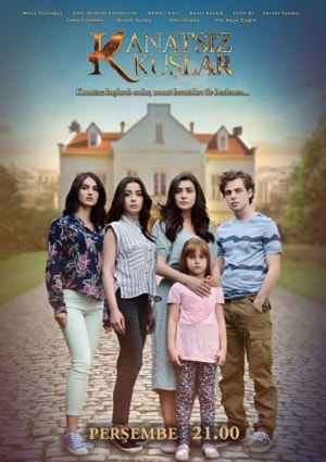 Бескрылые птицы (Kanatsiz Kuslar) 1-й сезон (2018, Турция) смотреть сериал онлайн