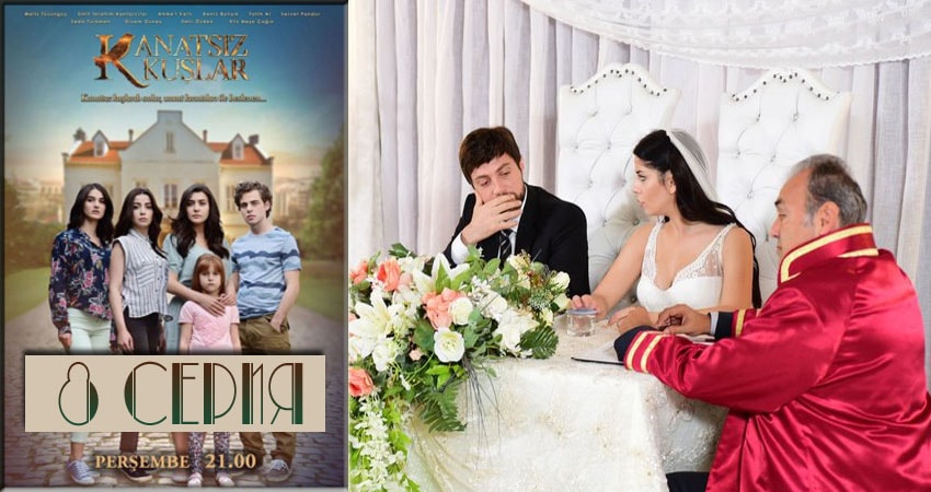 Смотреть сераил Бескрылые птицы (Kanatsiz Kuslar) (2018) 1 сезон 8 серия HD 1080, 4K