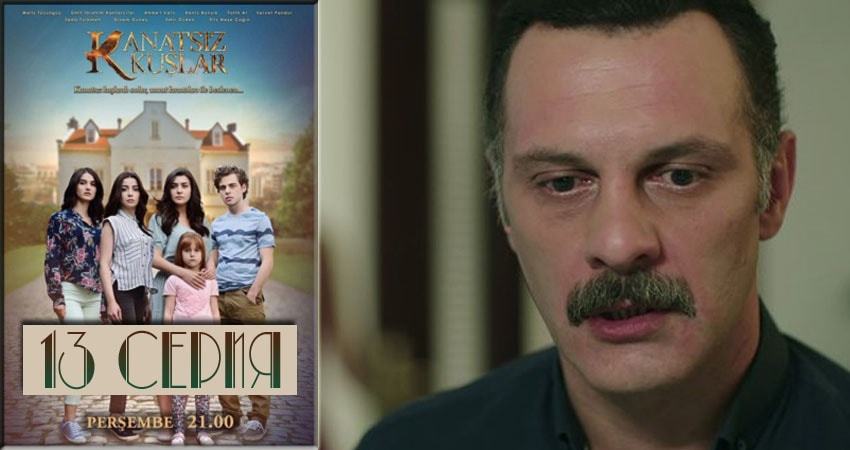 Бескрылые птицы (Kanatsiz Kuslar) 1 сезон 13 серия полная версия смотреть бесплатно