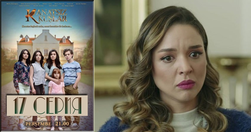 Бескрылые птицы (Kanatsiz Kuslar) (1 сезон, 17 серия) смотреть онлайн бесплатно в хорошем качестве