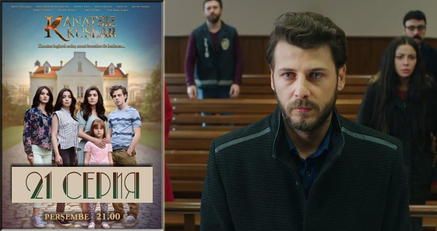 Бескрылые птицы (Kanatsiz Kuslar) (2018) 1 сезон 21 серия смотреть онлайн бесплатно