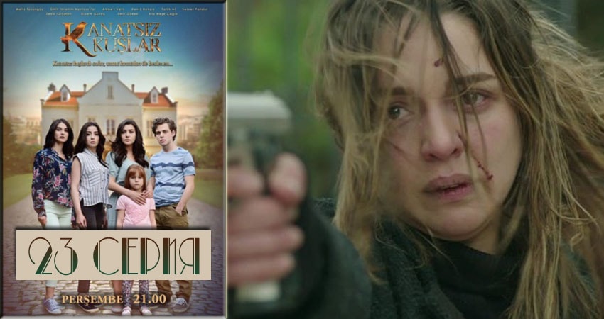 Бескрылые птицы (Kanatsiz Kuslar) (2018) 1 сезон 23 серия смотреть бесплатно полностью