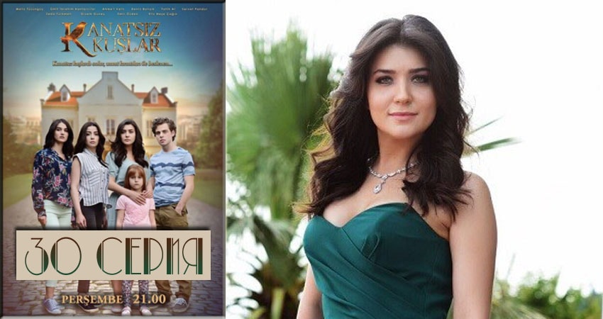 Смотреть сериал Бескрылые птицы (Kanatsiz Kuslar) (2018) 1 сезон 30 серия в хорошем качестве онлайн