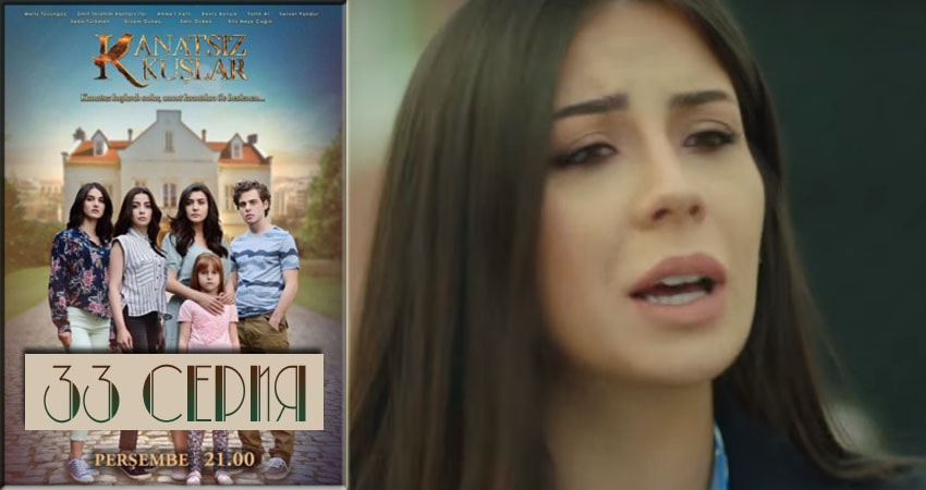 Бескрылые птицы (Kanatsiz Kuslar) (2018) 1 сезон 33 серия полностью смотреть бесплатно без рекламы