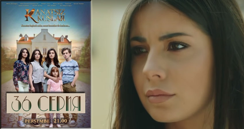 Бескрылые птицы (Kanatsiz Kuslar) (2018) 1 сезон 36 серия полностью в хорошем качестве и бесплатно