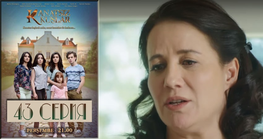 Бескрылые птицы (Kanatsiz Kuslar) 1 сезон 43 серия смотреть онлайн на телефоне бесплатно