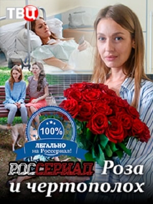 Онлайн без рекламы сериал Роза и чертополох 1 сезон все серии в 4K