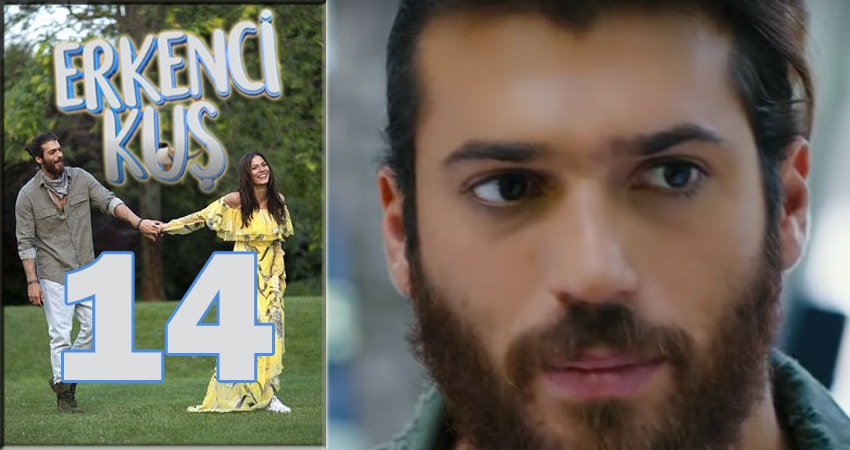 Смотреть сераил Ранняя пташка (Erkenci Kus) (2024) 1 сезон 14 серия HD 1080, 4K