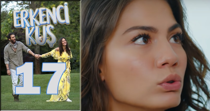 Ранняя пташка (Erkenci Kus) 1 сезон 17 серия смотреть онлайн 720p или 1080p