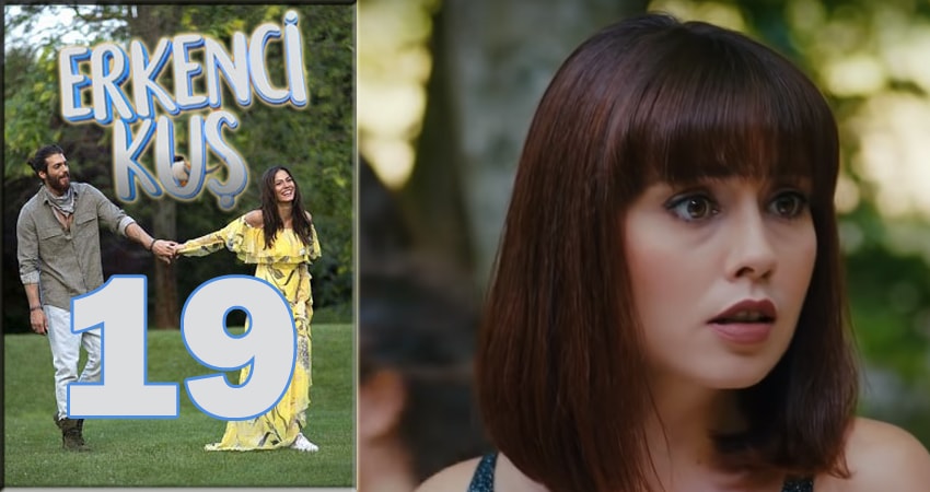 Cмотреть сериал Ранняя пташка (Erkenci Kus) 1 сезон 19 серия онлайн бесплатно